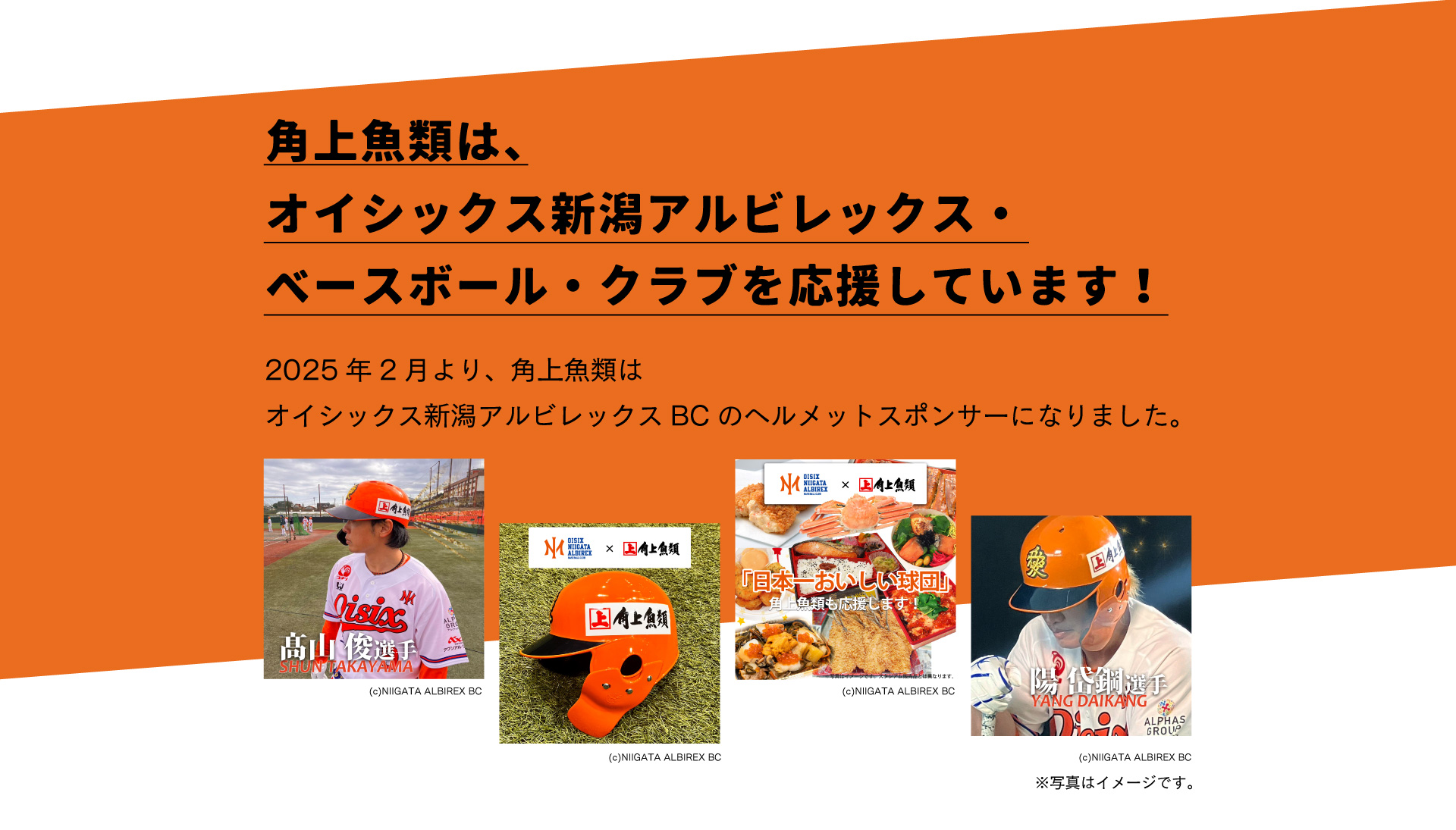 オイシックス新潟アルビレックス・ベースボール・クラブ