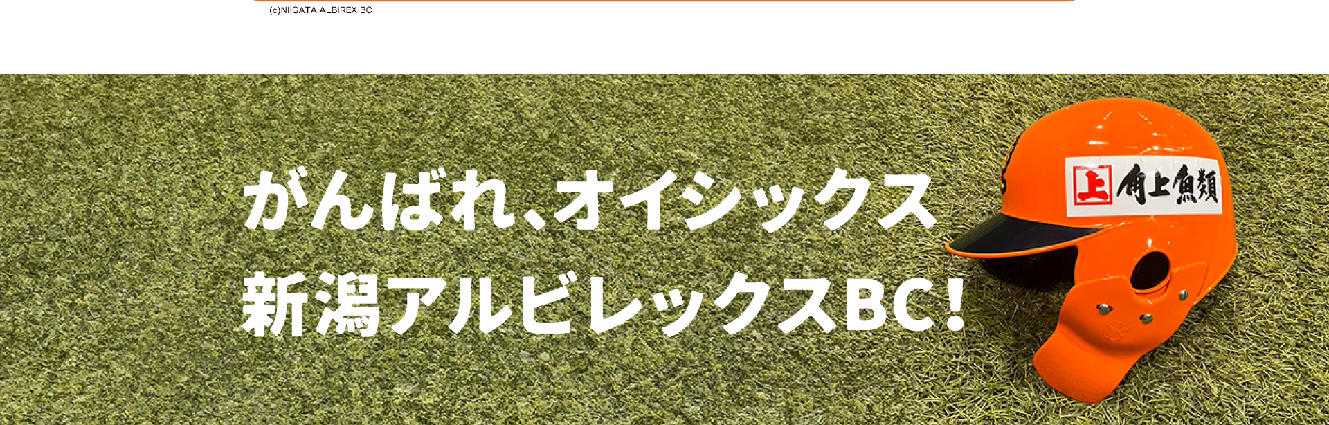 オイシックス新潟アルビレックス・ベースボール・クラブ